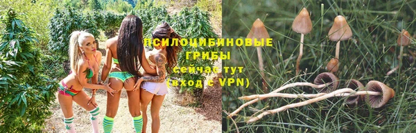 стаф Верхний Тагил