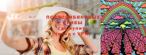 шишки Володарск