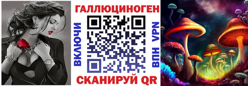 наркота  Каменск-Уральский  Псилоцибиновые грибы Psilocybine cubensis 
